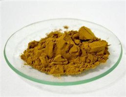 Plant extract rosmarinic acid powder  new years new stock from China