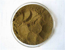 Plant extract Natural Red Clover Powder natural chemical from China