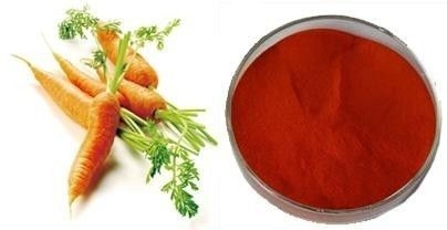 organic food powder High Quality Factory Price Natural Beta-Carotene For Health from China chemical additives in food