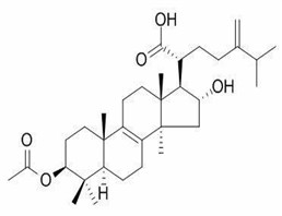 Purity plant extract Pachymic acid plant ingredient fine chemical