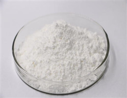 Plant extract Cycloastragenol purity nature ingredients natural plant extract from China