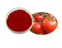 OEM New plant extract Lycopene nature plant extract art natural plant extract from China