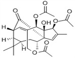 Pharmaceutical Grade natural plant extracts Ingenol from China