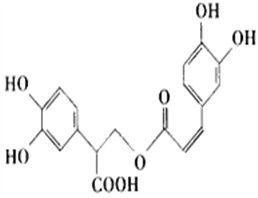 pure herbal extracts plant extract powder Rosmarinic acid  pure natural plant extracts