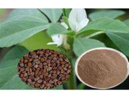 natural plant extract natural chemical Fenugreek seed Extract natural extract powder particle size door to door service