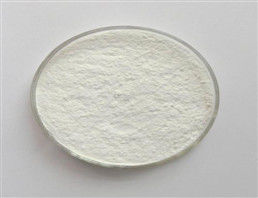 plant extract powder Betulin pure natural plant extracts pure herbal extracts